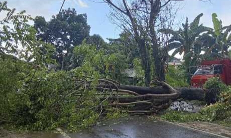 Cuaca Ekstrem Dominasi Bencana di Sinjai Sepanjang 2025, BPBD Catat 89 Kejadian
