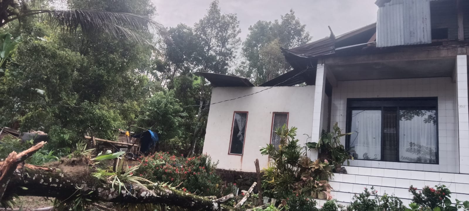 Diterjang Angin Kencang, Rumah Warga di Tellulimpoe Sinjai Rusak Tertimpa Pohon