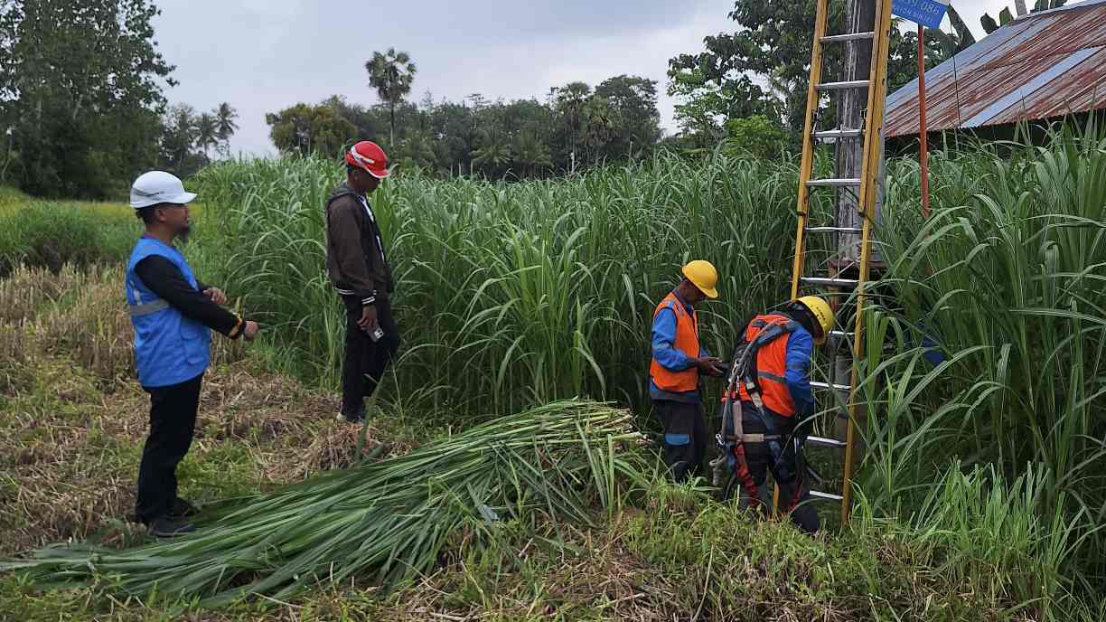 Wujudkan Pelayanan Prima Jelang Idulfitri, PLN ULP Sinjai Intensifkan Pemeliharaan Jaringan