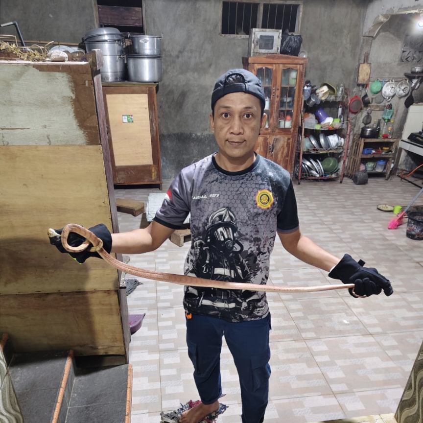 Aksi Sigap Tim Rescue Damkar Sinjai Amankan Ular Hitam yang Masuk ke Pemukiman Warga