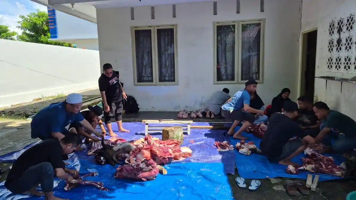 Idul Adha 1447 H: BRI Cabang Sinjai Berbagi Kebahagiaan Lewat 5 Ekor Sapi Kurban