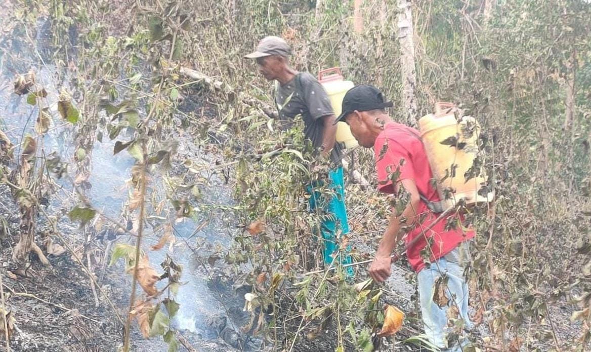 Kebakaran Hutan di Bulu Rappa Hanguskan 10 Hektare Lahan, Pemdes Lamatti Riattang Bersama Tim Gabungan Lakukan Pemadaman